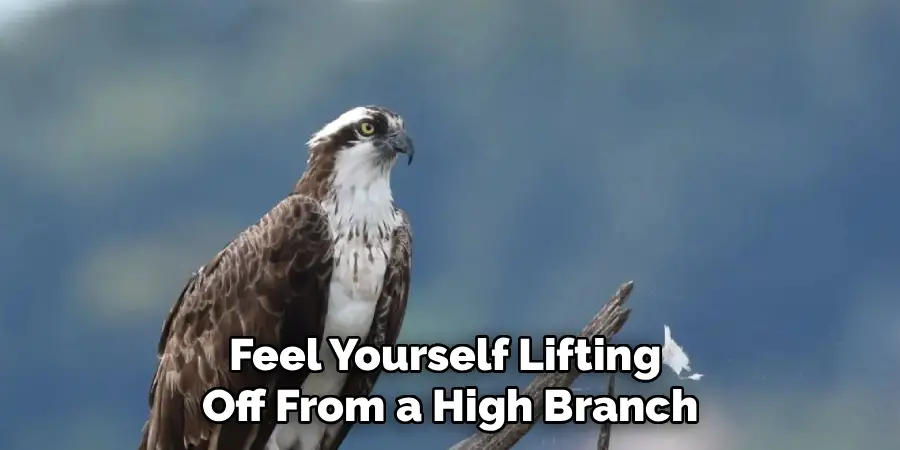 Feel Yourself Lifting Off From a High Branch