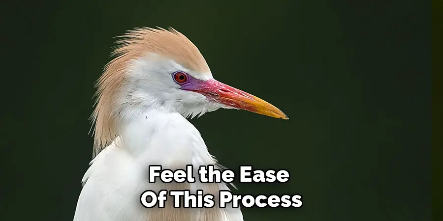 Feel the Ease
Of This Process