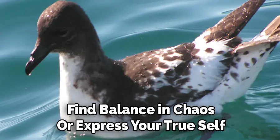 Find Balance in Chaos
Or Express Your True Self