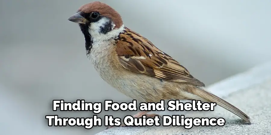Finding Food and Shelter 
Through Its Quiet Diligence