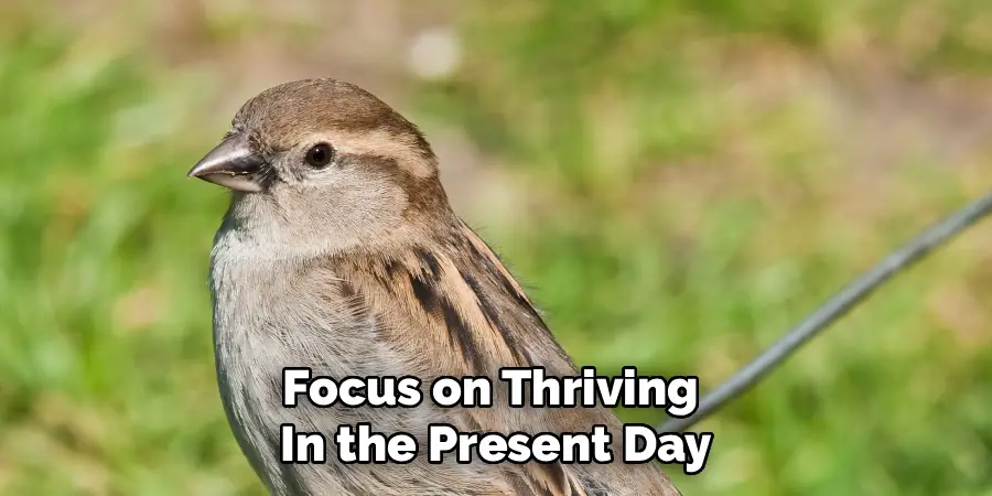Focus on Thriving 
In the Present Day