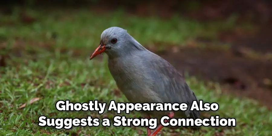 Ghostly Appearance Also
Suggests a Strong Connection