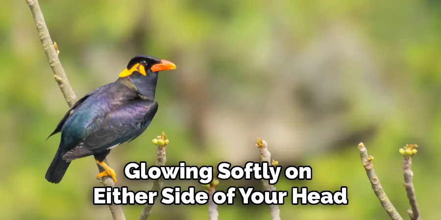 Glowing Softly on
Either Side of Your Head