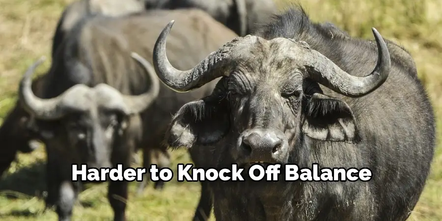 Harder to Knock Off Balance