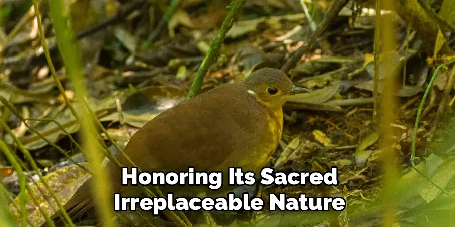 Honoring Its Sacred
Irreplaceable Nature