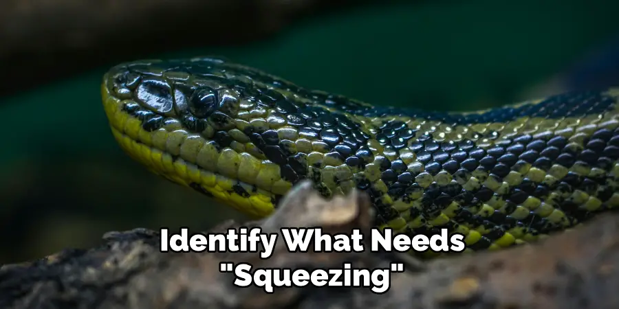Identify What Needs "Squeezing"