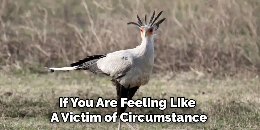 If You Are Feeling Like 
A Victim of Circumstance