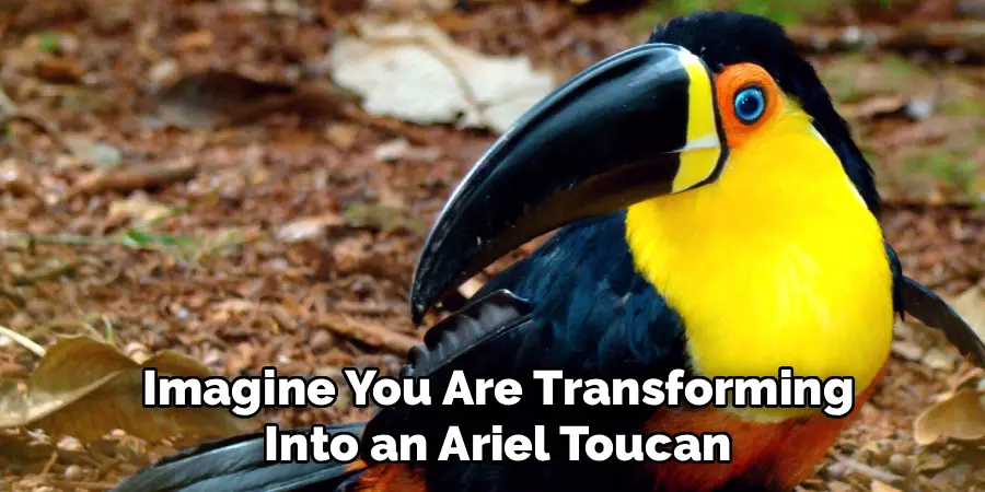  Imagine You Are Transforming
 Into an Ariel Toucan