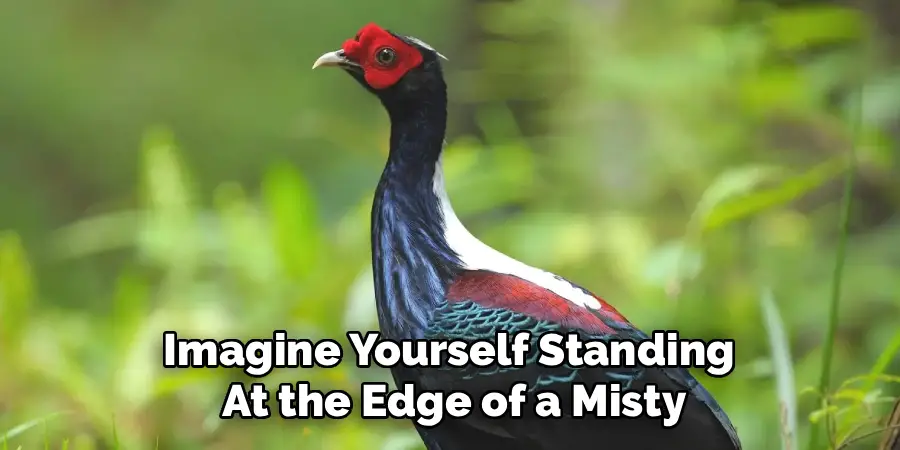 Imagine Yourself Standing 
At the Edge of a Misty