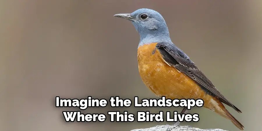 Imagine the Landscape 
Where This Bird Lives