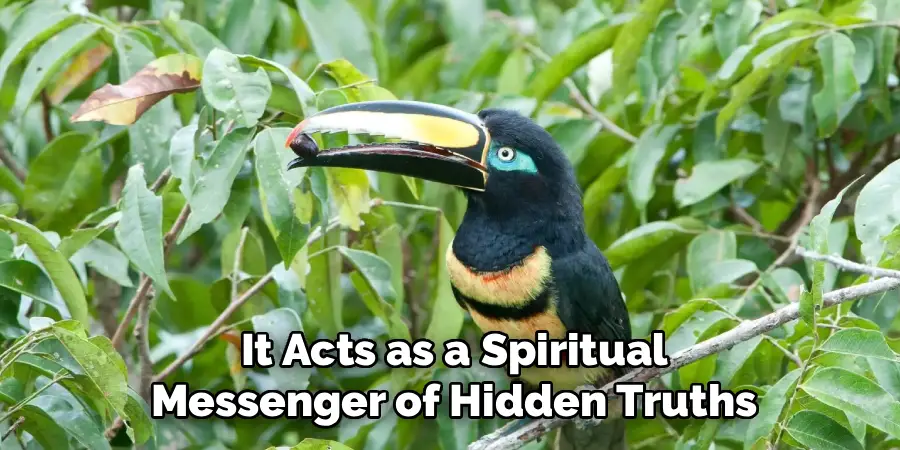 It Acts as a Spiritual
Messenger of Hidden Truths