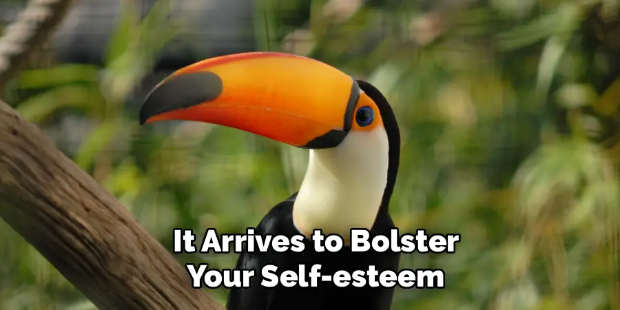 It Arrives to Bolster
Your Self-esteem