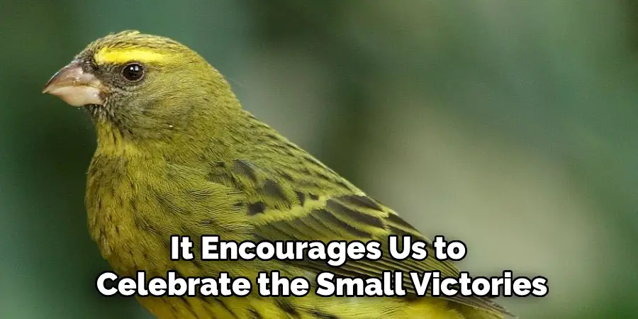 It Encourages Us to 
Celebrate the Small Victories