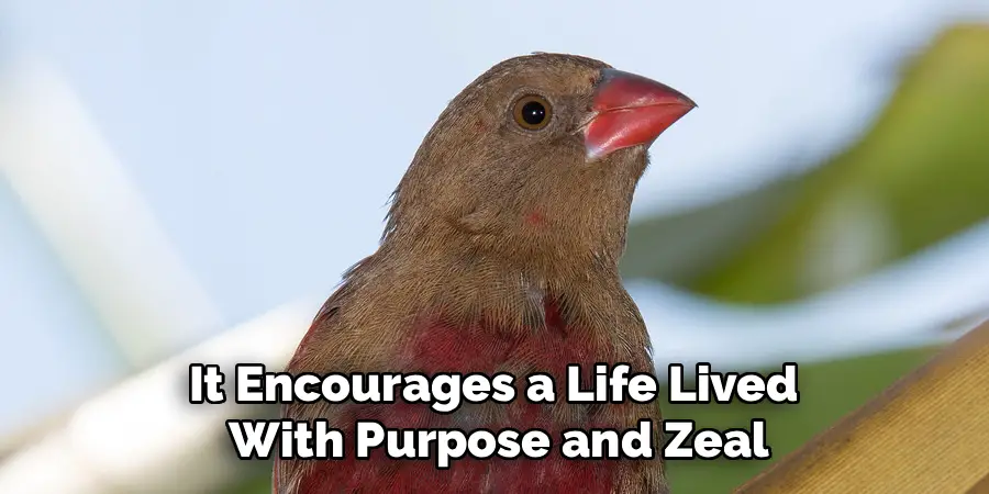 It Encourages a Life Lived With Purpose and Zeal