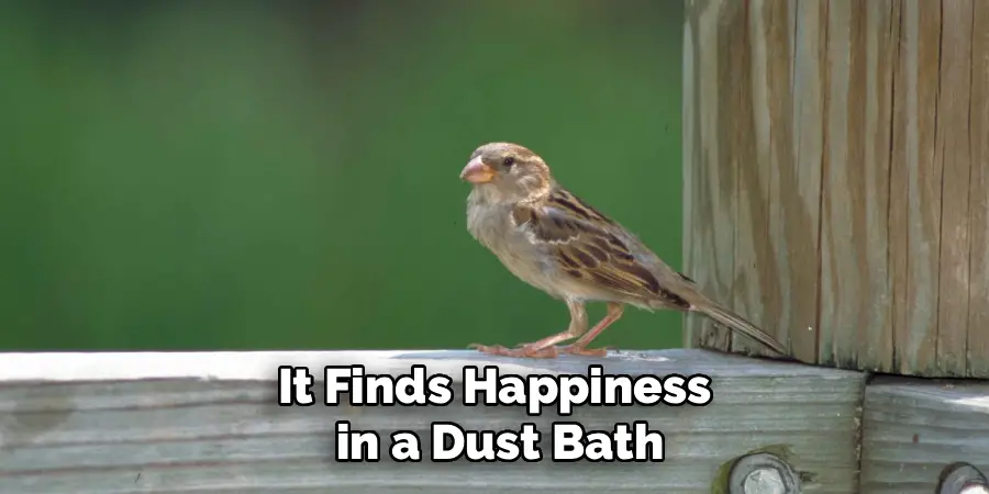 It Finds Happiness
 in a Dust Bath