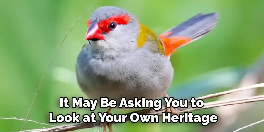 It May Be Asking You to Look at Your Own Heritage