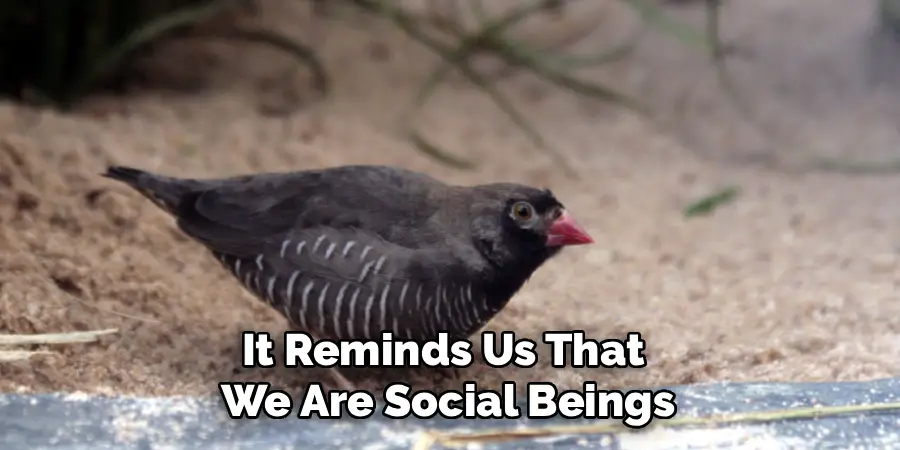It Reminds Us That 
We Are Social Beings