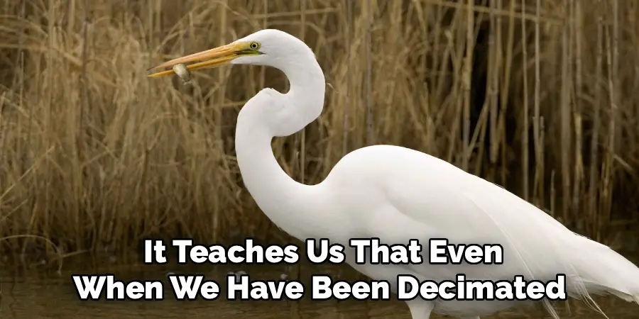 It Teaches Us That Even
When We Have Been Decimated