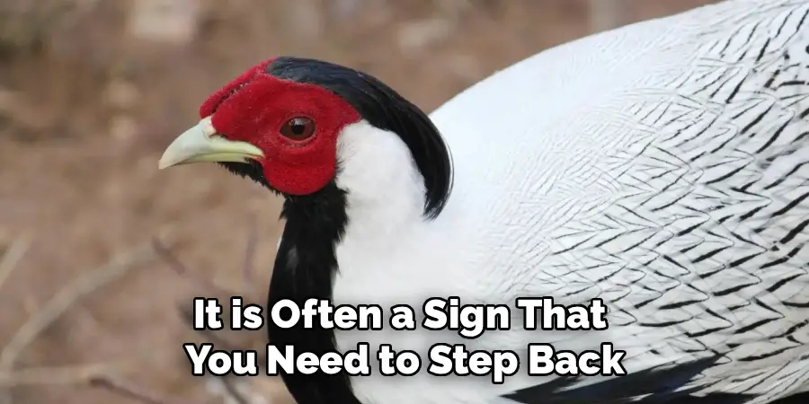 It is Often a Sign That
You Need to Step Back