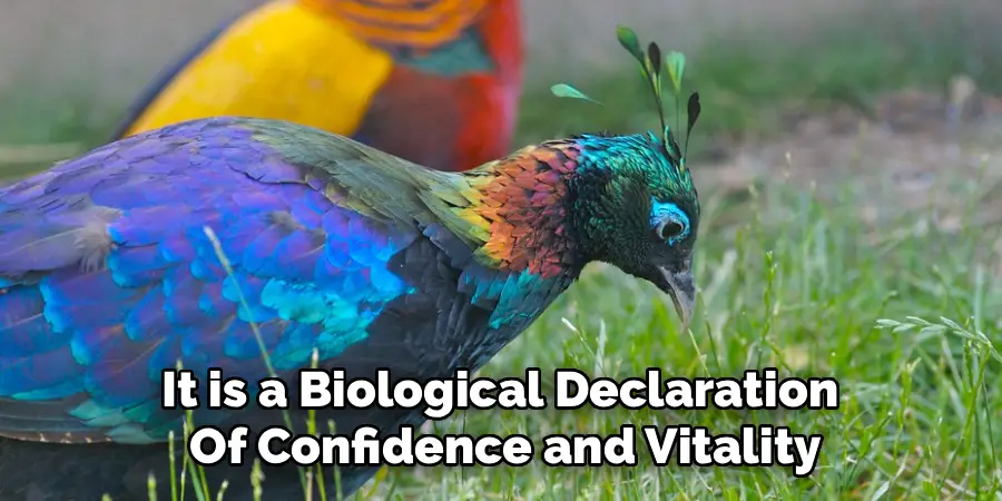 It is a Biological Declaration
Of Confidence and Vitality