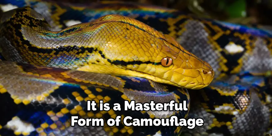 It is a Masterful Form of Camouflage