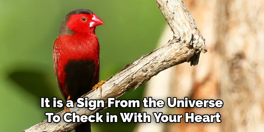 It is a Sign From the Universe
To Check in With Your Heart