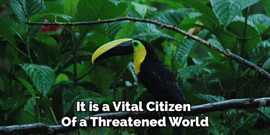 It is a Vital Citizen 
Of a Threatened World
