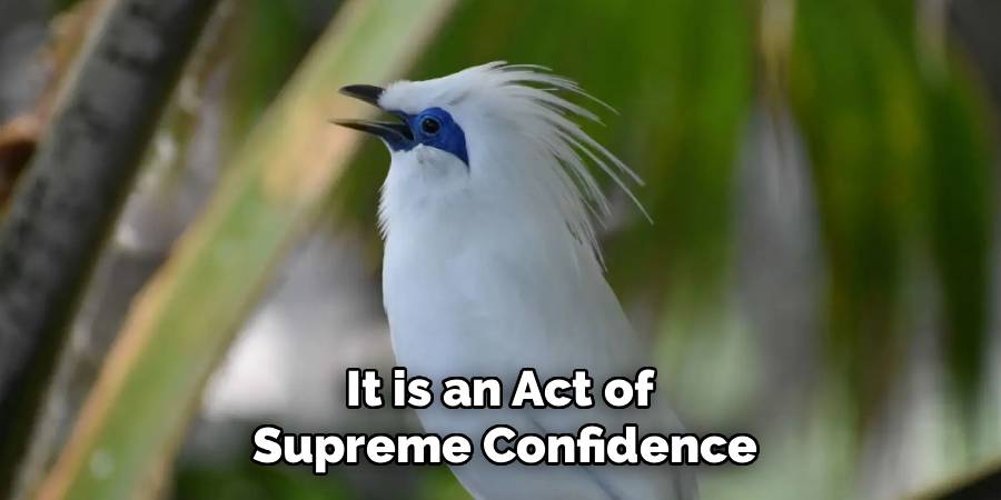 It is an Act of 
Supreme Confidence