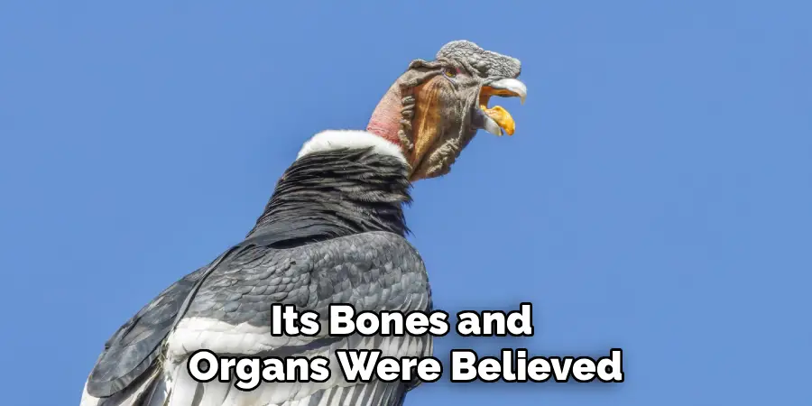 Its Bones and
Organs Were Believed