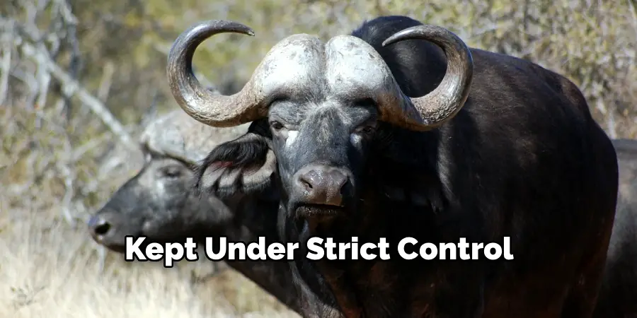 Kept Under Strict Control