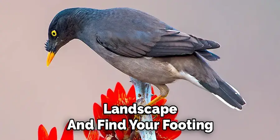 Landscape
And Find Your Footing