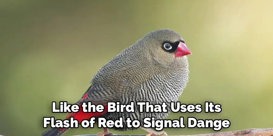 Like the Bird That Uses Its
Flash of Red to Signal Dange
