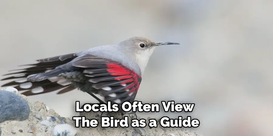 Locals Often View
The Bird as a Guide