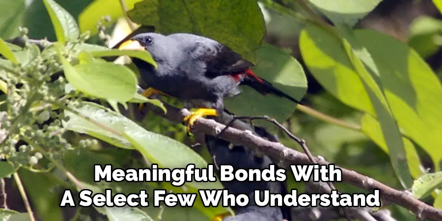 Meaningful Bonds With 
A Select Few Who Understand