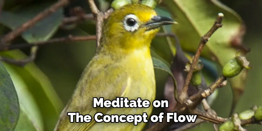 Meditate on 
The Concept of Flow