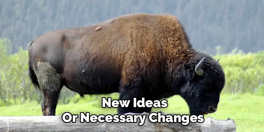  New Ideas
Or Necessary Changes