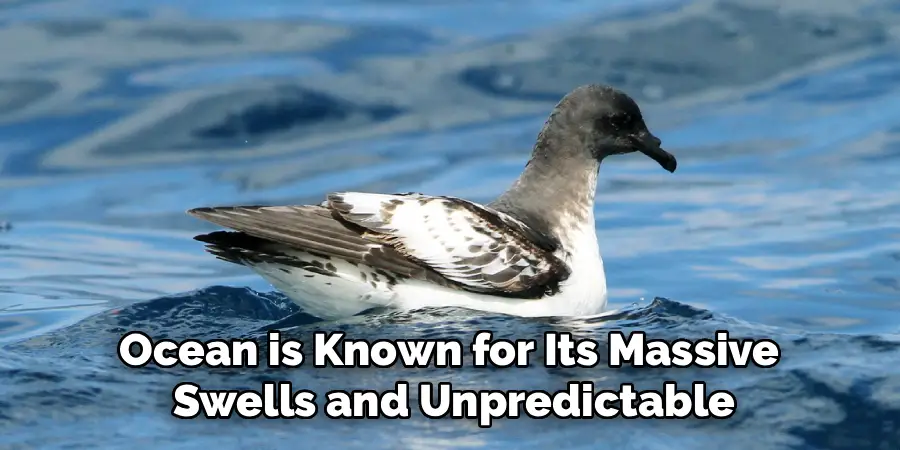 Ocean is Known for Its Massive 
Swells and Unpredictable