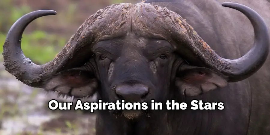 Our Aspirations in the Stars