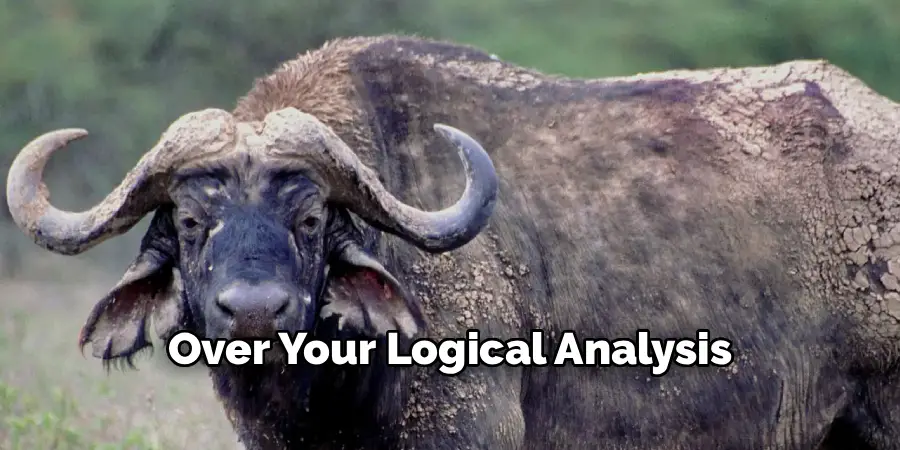 Over Your Logical Analysis