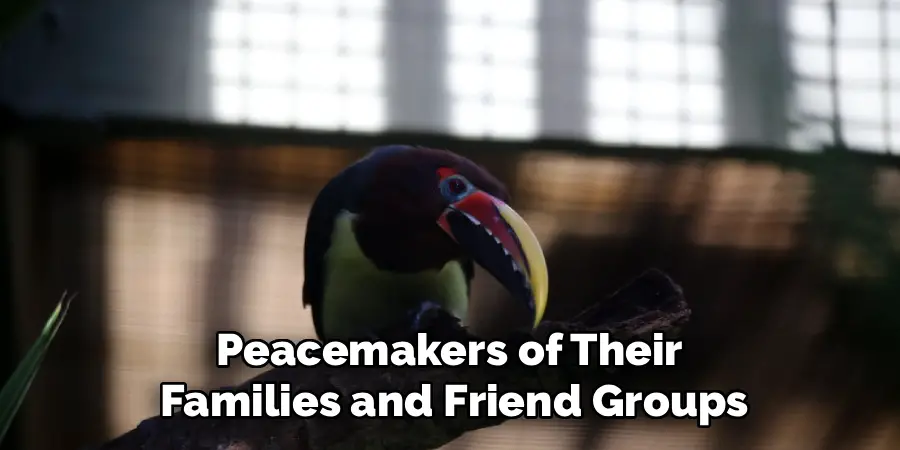 Peacemakers of Their
Families and Friend Groups