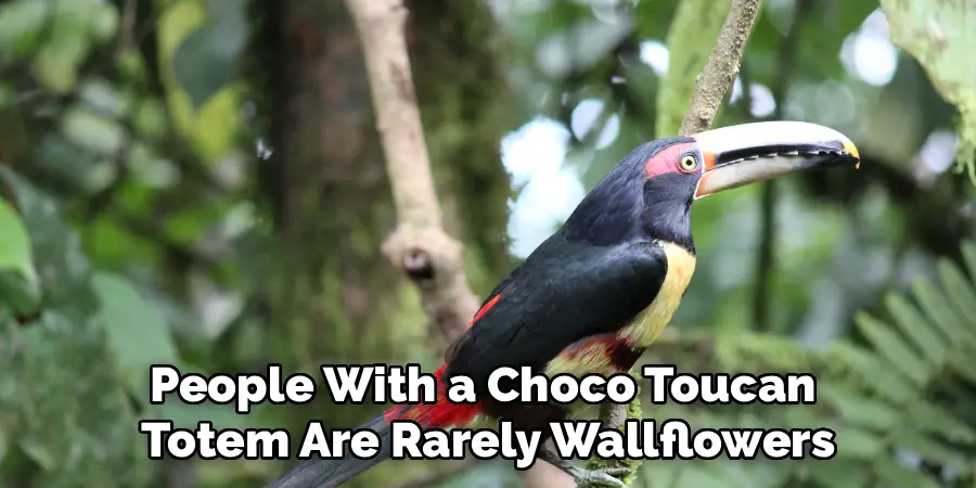 People With a Choco Toucan 
Totem Are Rarely Wallflowers