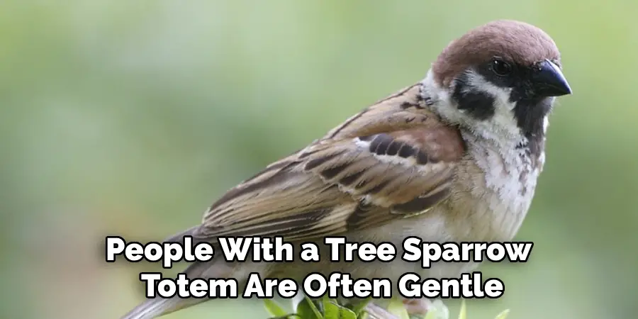 People With a Tree Sparrow
 Totem Are Often Gentle