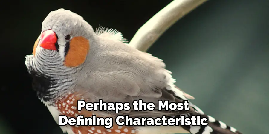 Perhaps the Most 
Defining Characteristic 