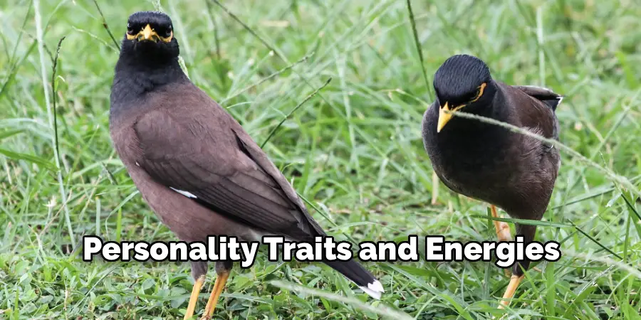 Personality Traits and Energies