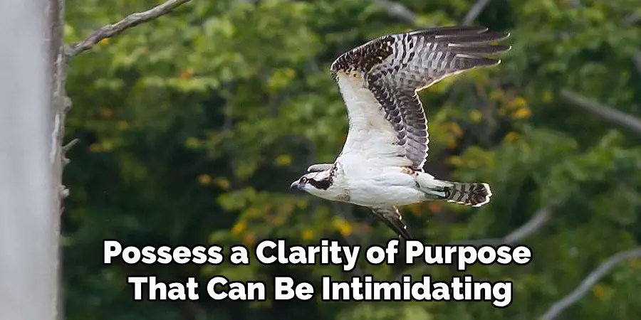 Possess a Clarity of Purpose
That Can Be Intimidating