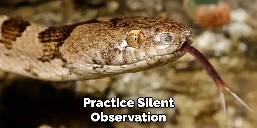 Practice Silent Observation