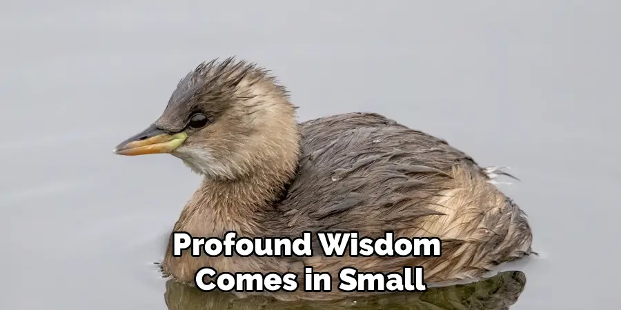 Profound Wisdom 
Comes in Small