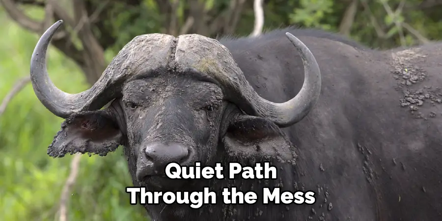 Quiet Path
Through the Mess