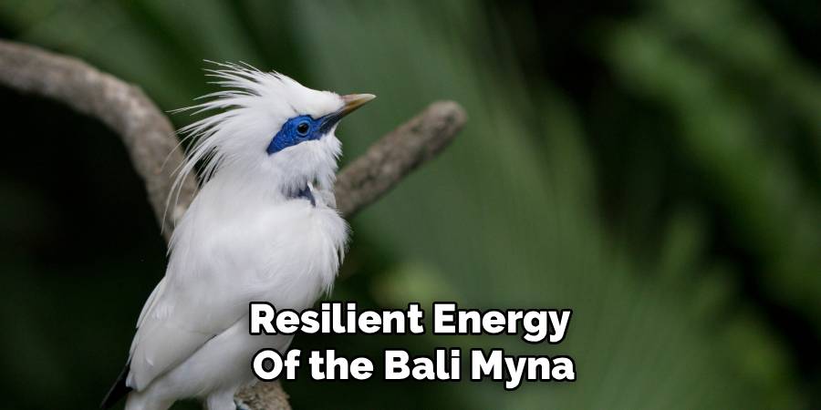 Resilient Energy 
Of the Bali Myna
