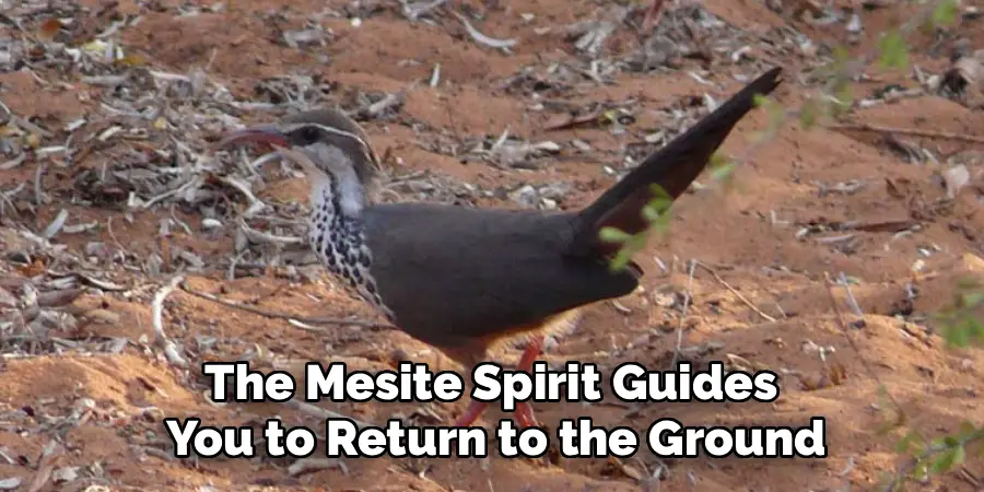 The Mesite Spirit Guides 
You to Return to the Ground